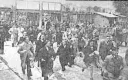 Coupe de France, 1946