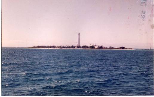 Coupe de France, 1983