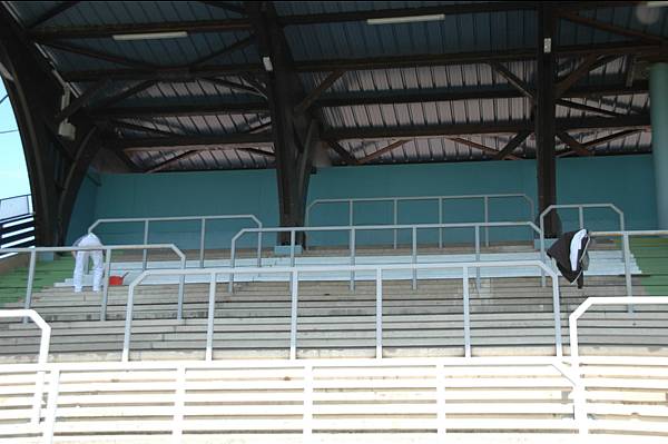 Stade Bauer