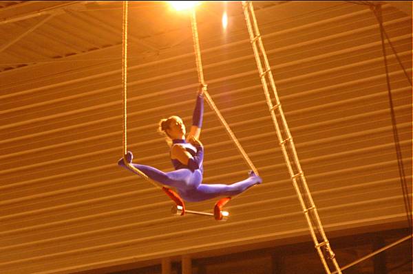 OMS 2006