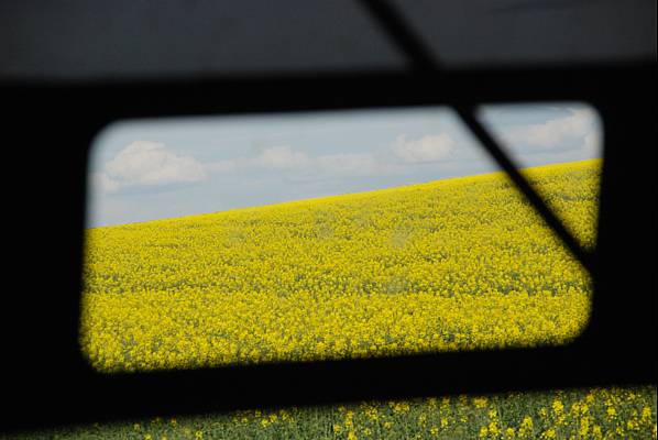 Les belles couleurs du mois de mai