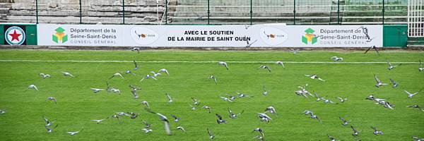 RED STAR FC 93 - CAEN B