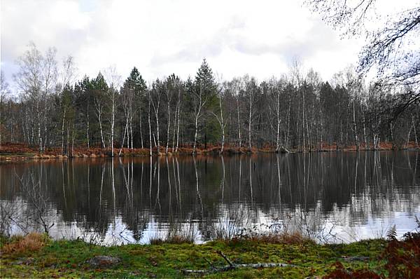 Un paysage de saison, ici dans le Loir-et-Cher  GT Valck