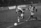 RED STAR - LAVAL, EN D2, EN 1990