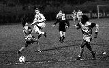 RED STAR - LAVAL, EN D2, EN 1990