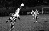 RED STAR - LAVAL, EN D2, EN 1990