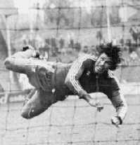 Nestor Combin